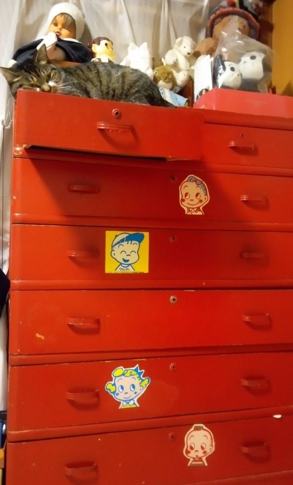 長寿の整理タンス